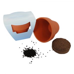 Kit de plantation, goodies éco pour les enfants