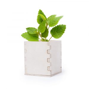 Pot de fleurs, goodies RSE personalisable