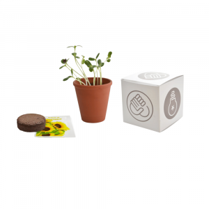 Cube de plante Cresson personnalisé