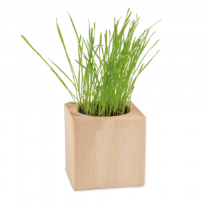 Pot de fleur cube mini en bois à personnaliser