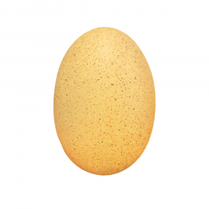 Œuf Bio Anti-Stress